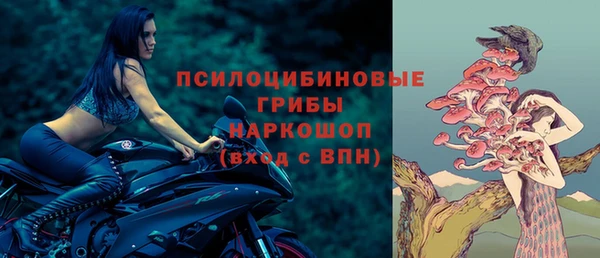 метадон Арсеньев