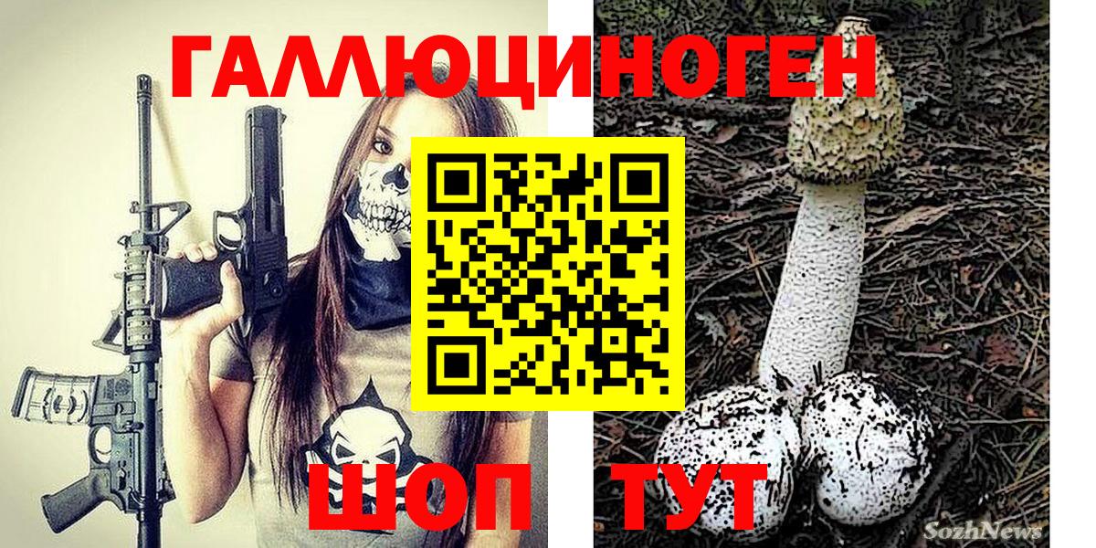 купить закладку  Вход с VPN  Карачаевск  Псилоцибиновые грибы мицелий 